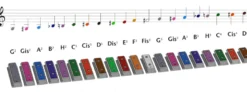 Xyloba lame sonore d4 - ré